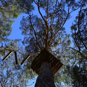 Parque de actividades en Soria