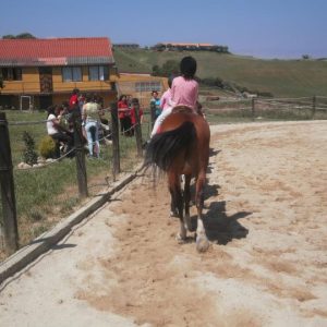 Campamentos de equitación en Cantabria