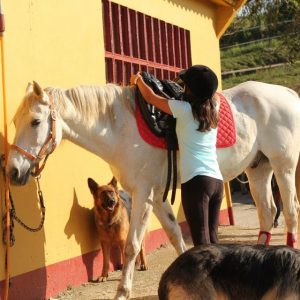 Clases de equitación en San Vicente de la Barquera