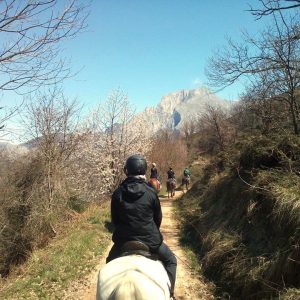 Rutas a caballo por la Sierra de Boria en San Vicente de la Barquera