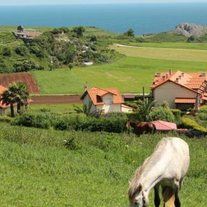 Pupilaje en San Vicente de la Barquera
