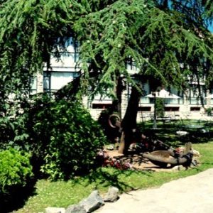 Hotel el Ancla en Laredo