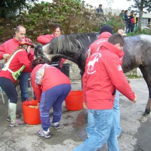 Pupilaje en San Vicente de la Barquera