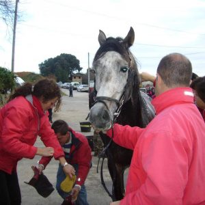 Pupilaje en San Vicente de la Barquera