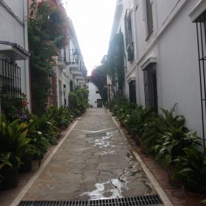 Casco Antiguo en Marbella