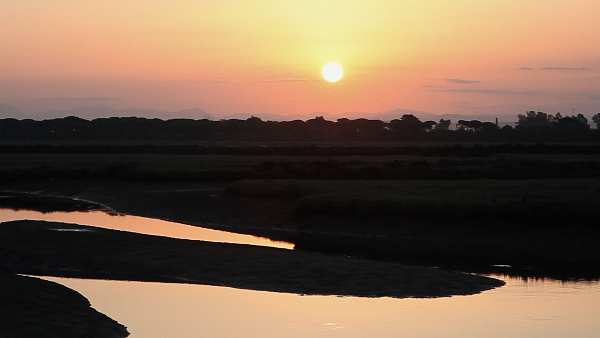 Atardecer en el Parque Metropolitano Marisma de los Toruños en el Puerto de Santa María