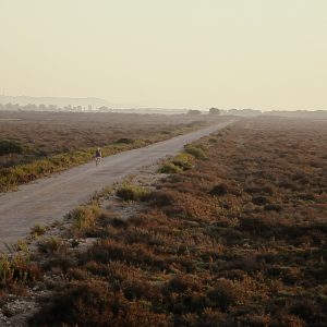 Parque Natural los Toruños