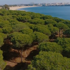 El Puerto de Santa María y Rafael Alberti