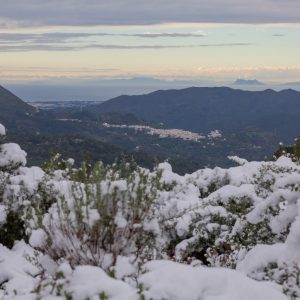 Naturaleza cerca de Marbella