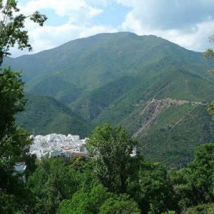 Naturaleza cerca de Marbella