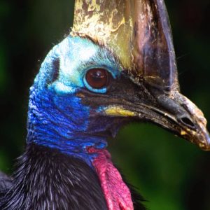 Zoobotánico en Jerez