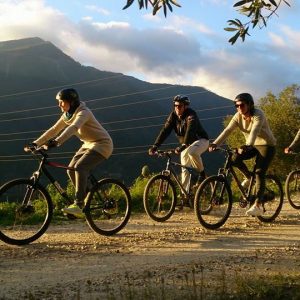Descenso en bicicleta de montaña en Sierra de las Nieves