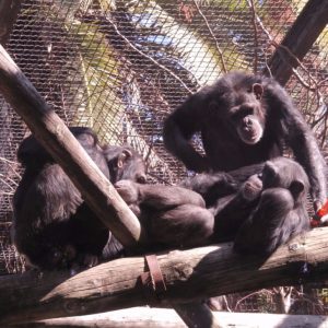 Zoobotánico en Jerez
