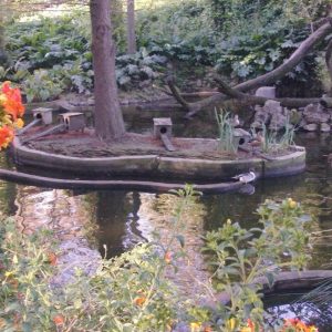 Zoobotánico en Jerez