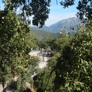Descenso en bicicleta de montaña en Sierra de las Nieves