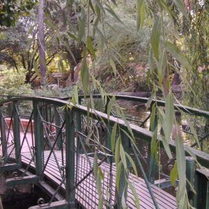 Zoobotánico en Jerez
