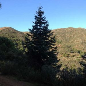 Jeep safari 4×4 en Andalucía y kayak