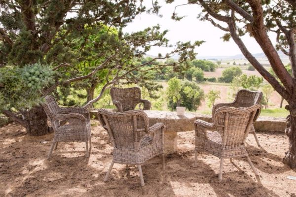 Terraza de la Finca el Cercado en Baltanás en la provincia de Palencia