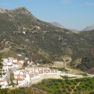 Excursiones privadas a Ronda