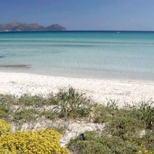 La Playa de Muro en Mallorca