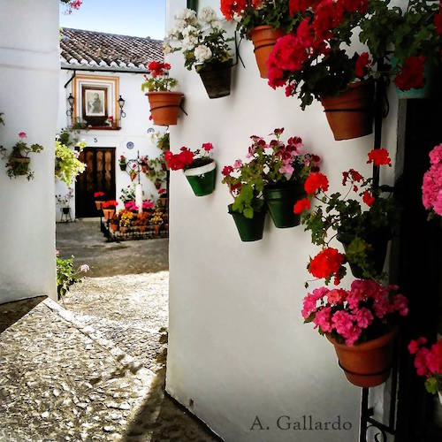 Calle con tiestos en Priego de Córdoba