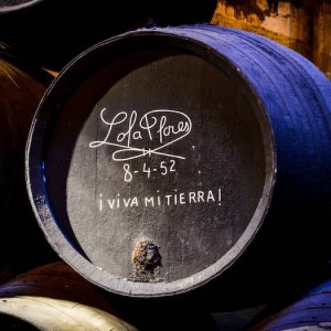 Experiencia combinada en Bodegas Fundador