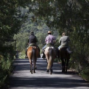 Visita privada a la  finca de Juan Pedro Domecq