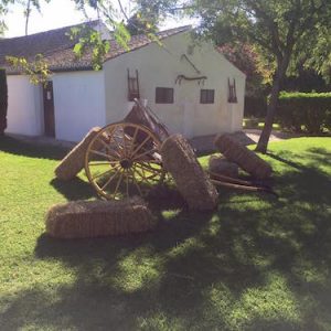 Cortijo para eventos en Jerez de la Frontera