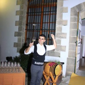 Experiencia degustación en Bodegas Fundador