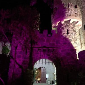 Visita al Castillo de San Martín de Valdeiglesias