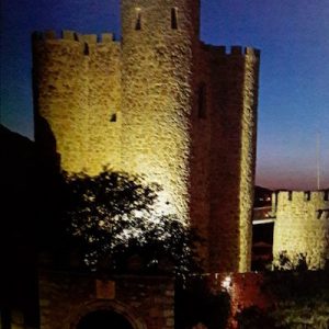 Visita al Castillo de San Martín de Valdeiglesias