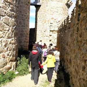 Visita al Castillo de San Martín de Valdeiglesias