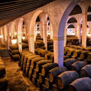 Experiencia combinada en Bodegas Fundador