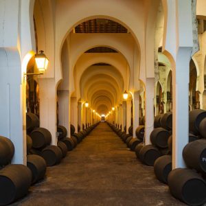 Experiencia degustación en Bodegas Fundador