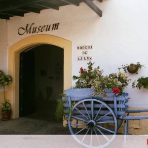 Experiencia combinada en Bodegas Fundador