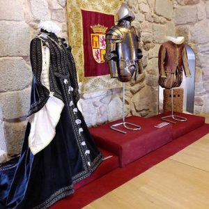 Visita al Castillo de San Martín de Valdeiglesias