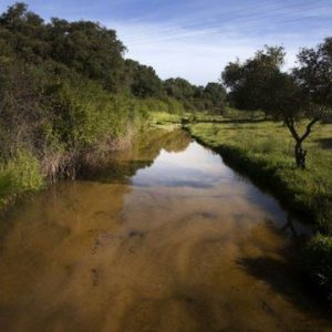 Visita privada a la  finca de Juan Pedro Domecq