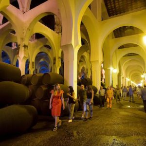 Experiencia combinada en Bodegas Fundador