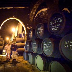 Experiencia combinada en Bodegas Fundador
