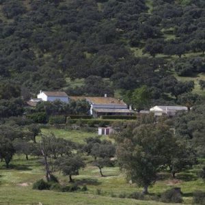 Visita privada a la  finca de Juan Pedro Domecq