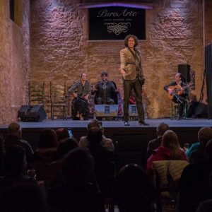 Tablao flamenco en Jerez de la Frontera