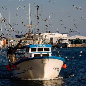 El puerto de Arenys de Mar