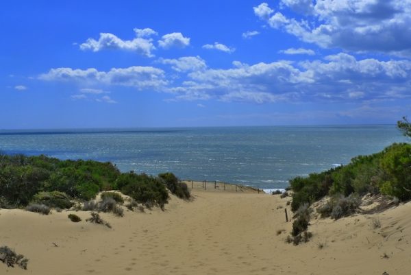 Dunas en el Parque Natural de Doñana en San Lucar