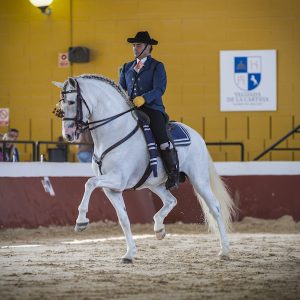 Visita los Sábados Yeguada Cartuja en Jerez