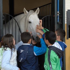 Visita los Sábados Yeguada Cartuja en Jerez
