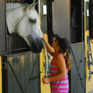 Visita los Sábados Yeguada Cartuja en Jerez