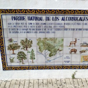 El Parque Natural de los Alcornocales