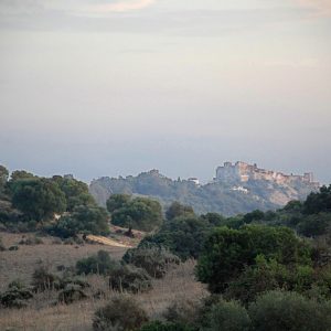 El Parque Natural de los Alcornocales
