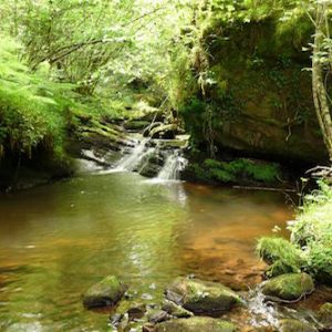 El Centro de Interpretación del Parque Natural de Oyambre