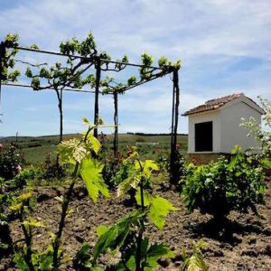 El Cerro Don Juan y Piedra Luenga en Montilla